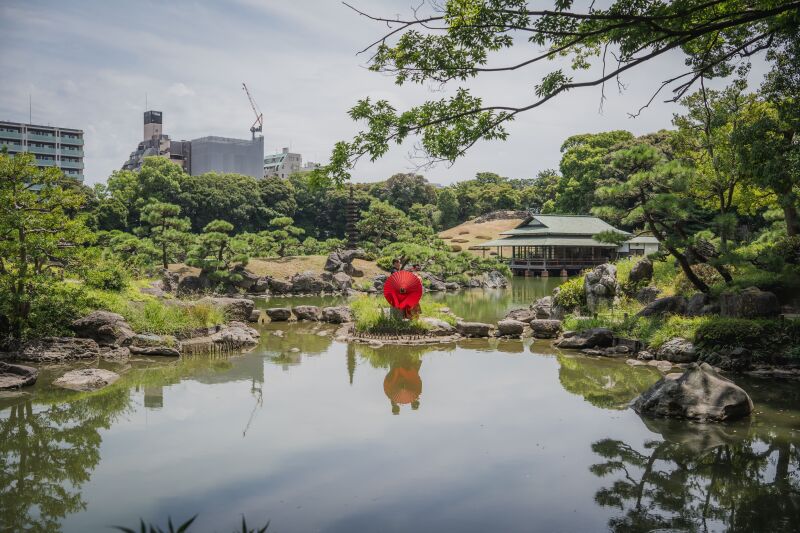 夏の清澄庭園