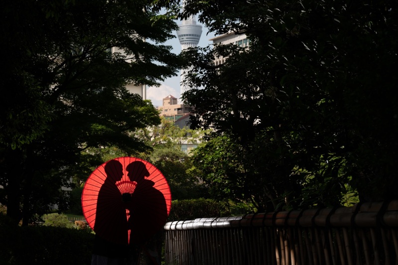 シルエットショット