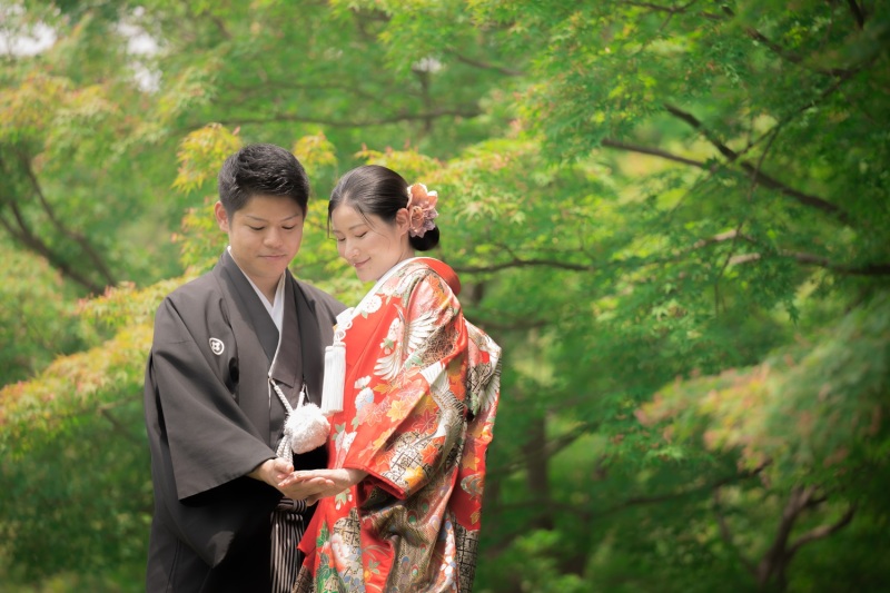 新緑も終わりかけに・・♪