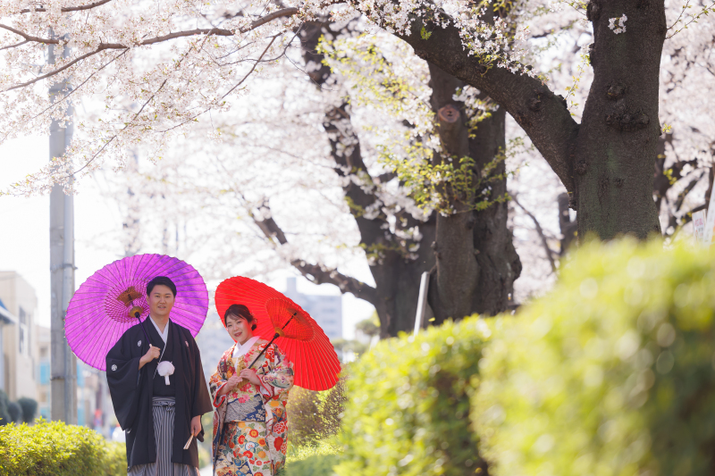 さくらフォト❀花畑記念庭園&スタジオ☆弐点プラン☆
