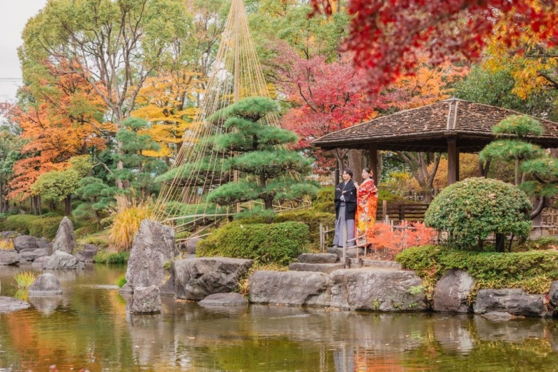 園内には常緑樹もあります