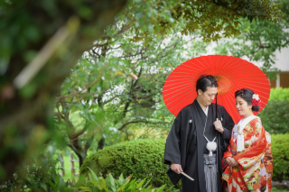 9月撮影・深緑の旧安田庭園