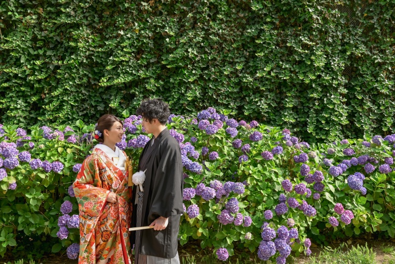 紫陽花といっしょに・・・