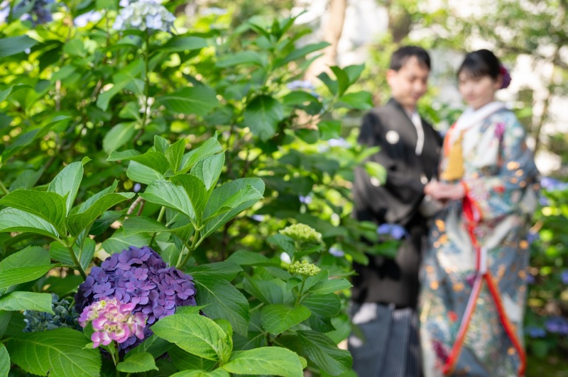 開花が始まっていました❀