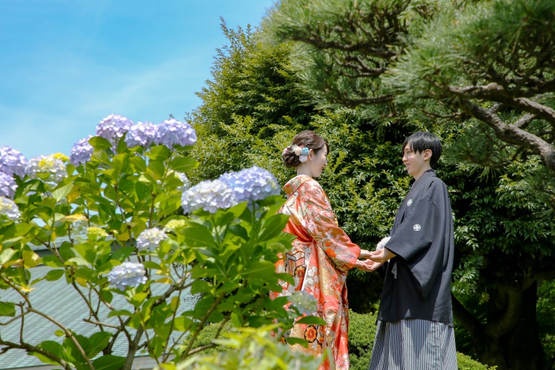 紫陽花シーズン　清澄庭園
