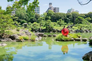 9/5撮影：清澄庭園の緑！