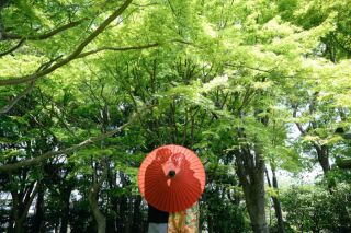 4/21撮影：新緑！和装フォト＊花畑記念庭園