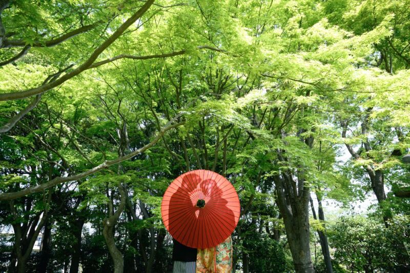 4/21撮影：新緑！和装フォト＊花畑記念庭園