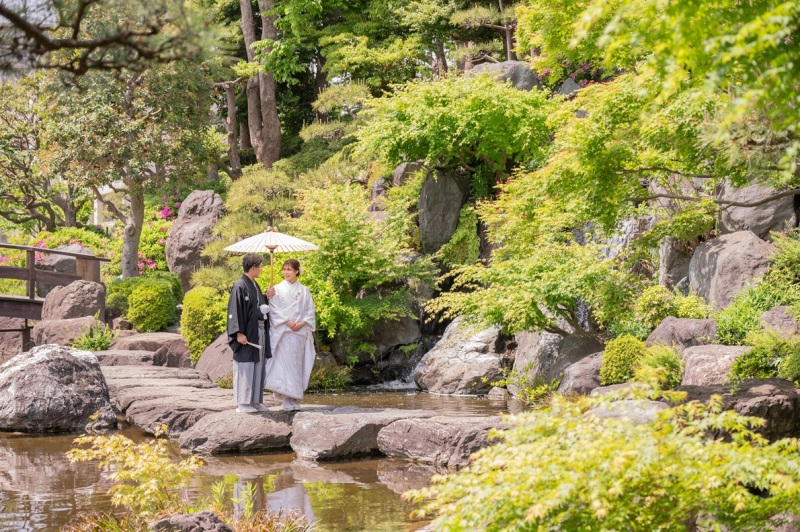 池にうつる新緑との撮影は今だけ！