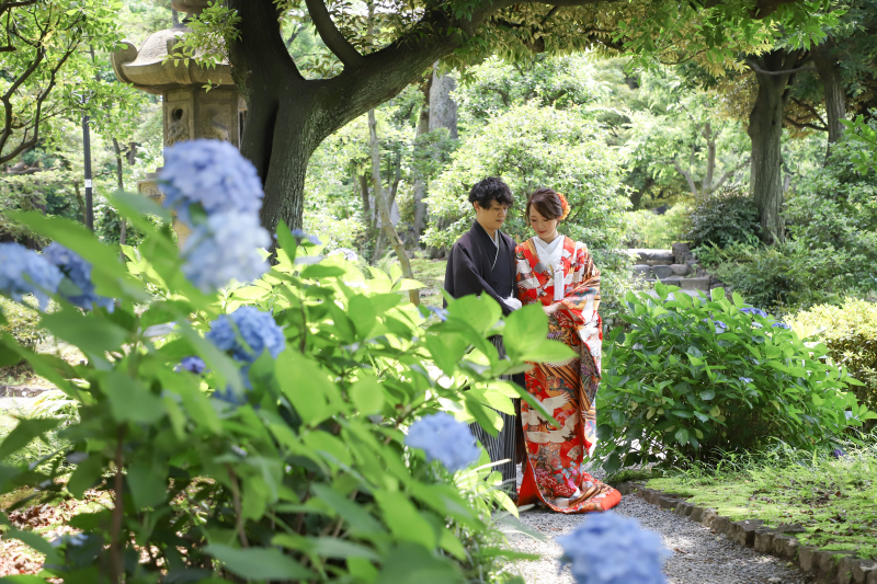 ６月の花といえば・・