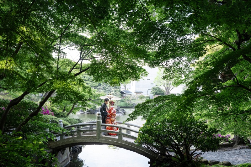 新緑に囲まれた太鼓橋