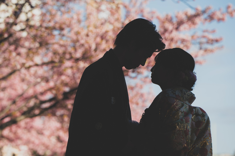 さくら×シルエット