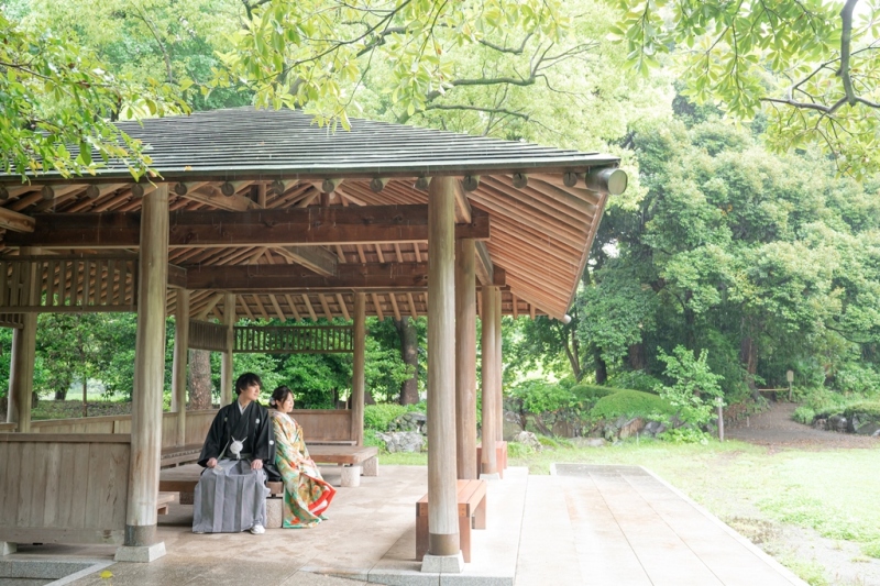 雨の日の救世主！