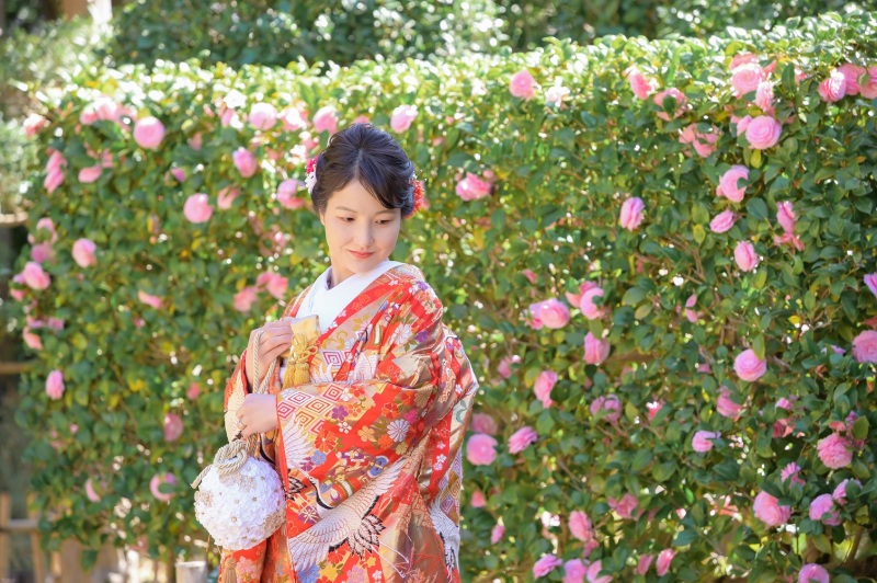 ピンクのツバキ