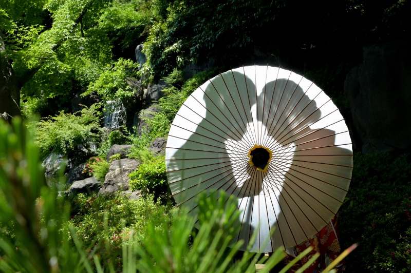 シルエットフォト