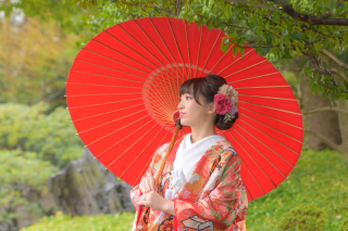 雨の日の安田庭園