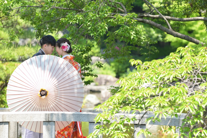 緑がキレイなシーズン！