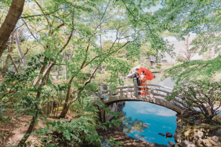 新緑シーズン♬　旧安田庭園