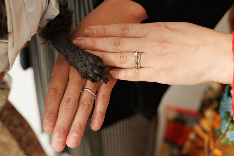 華雅苑　浅草橋本店 _ペットと一緒に撮影できる