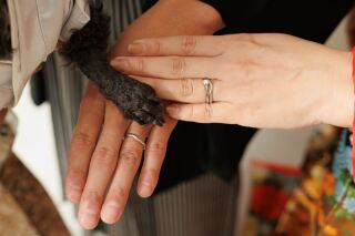 華雅苑　浅草橋本店 