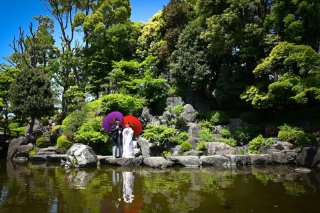 華雅苑　浅草橋本店 _【5月～6月】花畑記念庭園