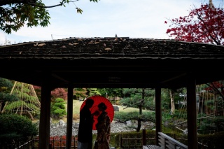 華雅苑　浅草橋本店 _【紅葉シーズン】花畑記念庭園