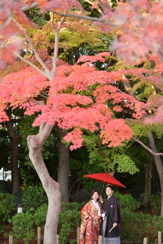 華雅苑　浅草橋本店 _【紅葉シーズン】花畑記念庭園