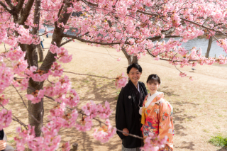 華雅苑　浅草橋本店 _【２月下旬～３月上旬限定】河津桜ロケ