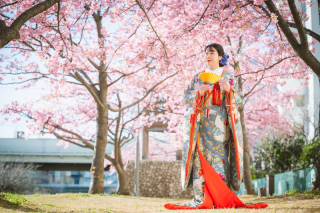 華雅苑　浅草橋本店 _【２月下旬～３月上旬限定】河津桜ロケ