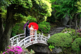 華雅苑　浅草橋本店 _【5月～6月】旧安田庭園　5月はつつじ　5月下旬から紫陽花