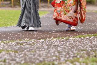 華雅苑　浅草橋本店 _【3月～4月上旬】桜season