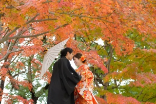 華雅苑　浅草橋本店 _【紅葉シーズン】花畑記念庭園