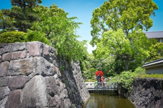 華雅苑　浅草橋本店 _【5月～6月】花畑記念庭園