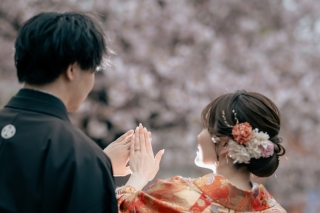 華雅苑　浅草橋本店 _【3月～4月上旬】桜season