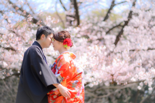 華雅苑　浅草橋本店 _【3月～4月上旬】桜season