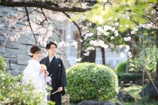 華雅苑　浅草橋本店 _【3月～4月上旬】桜season