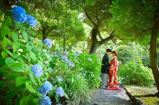 華雅苑　浅草橋本店 _【5月～6月】旧安田庭園　5月はつつじ　5月下旬から紫陽花