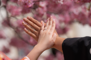 華雅苑　浅草橋本店 _【２月下旬～３月上旬限定】河津桜ロケ