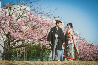 華雅苑　浅草橋本店 _【２月下旬～３月上旬限定】河津桜ロケ