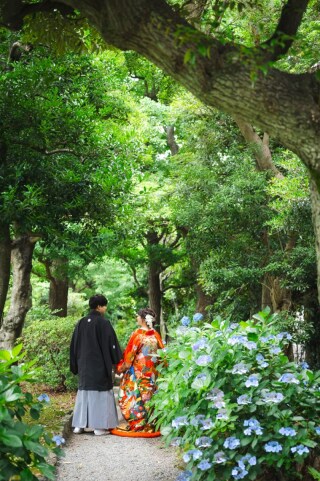 華雅苑　浅草橋本店 _【5月～6月】旧安田庭園　5月はつつじ　5月下旬から紫陽花