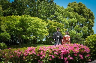 華雅苑　浅草橋本店 _【5月～6月】花畑記念庭園
