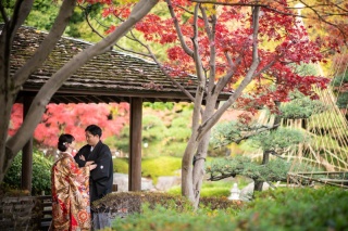 華雅苑　浅草橋本店 _【紅葉シーズン】花畑記念庭園