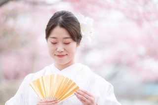 華雅苑　浅草橋本店 _【２月下旬～３月上旬限定】河津桜ロケ