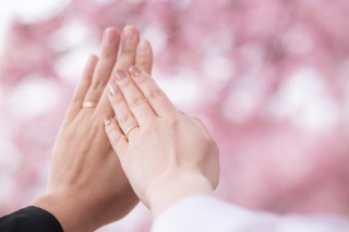 華雅苑　浅草橋本店 _【２月下旬～３月上旬限定】河津桜ロケ