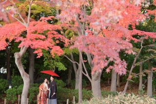 華雅苑　浅草橋本店 _【紅葉シーズン】花畑記念庭園