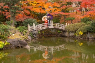 華雅苑　浅草橋店 _【紅葉】色々な庭園