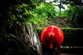 華雅苑 浅草橋店 _花畑記念庭園 夏 特選30