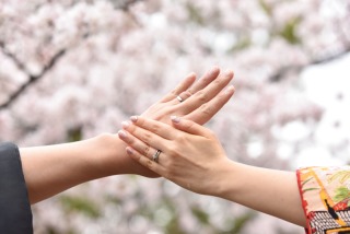 華雅苑　浅草橋本店 _【3月～4月上旬】桜season