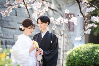 華雅苑　浅草橋本店 _【3月～4月上旬】桜season