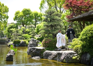 華雅苑　浅草橋本店 _【5月～6月】花畑記念庭園